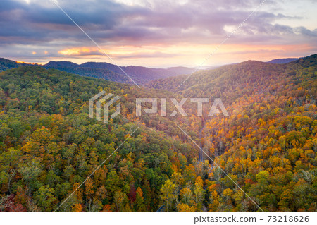 Pisgah National Forest, North Carolina, USA Pisgah National Forest, North Carolina, USA 73218626