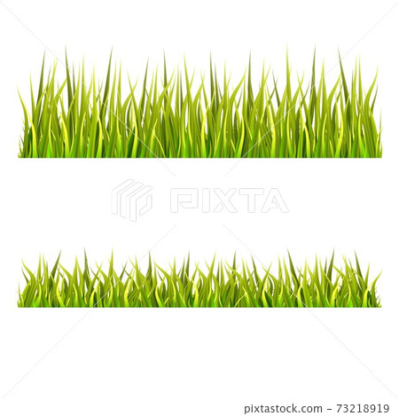 Set of grass vectors isolated on white background. - Stock Illustration ...