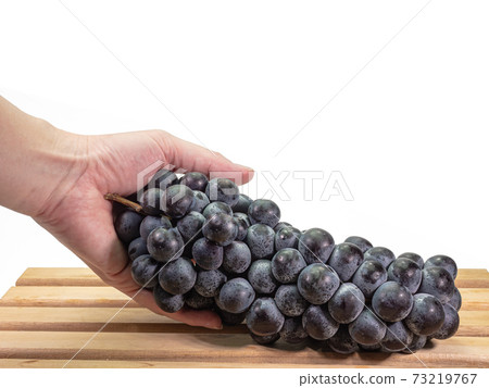 The close up of ripe organic black seedless grape bunch, healthy juicy berry fruits in hand on wooden plank on white background. The close up of ripe organic black seedless grape bunch, healthy juicy berry fruits in hand on wooden plank on white background. 73219767