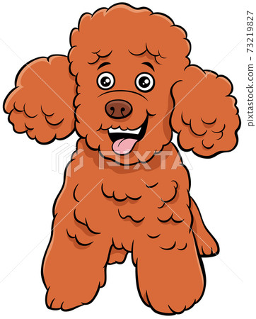 poodle toy dog cartoon animal character - Stock Illustration [73219827] -  PIXTA