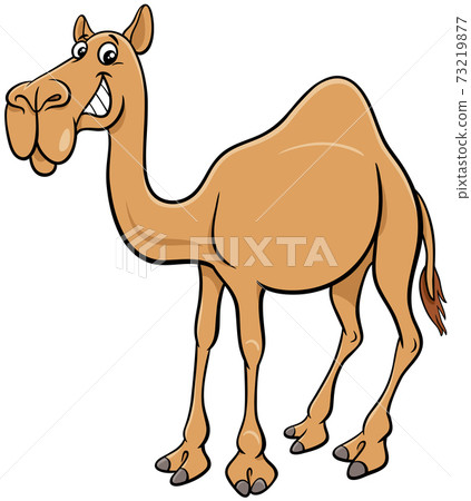 cartoon dromedary camel comic animal character - Stock Illustration  [73219877] - PIXTA
