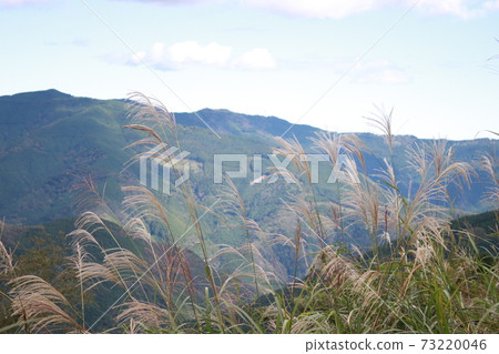 鈴木延伸到秋山 鈴木延伸到秋山 73220046