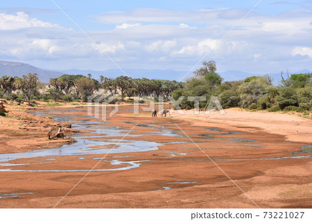 View of Samburu Trails (Kenya) View of Samburu Trails (Kenya) 73221027