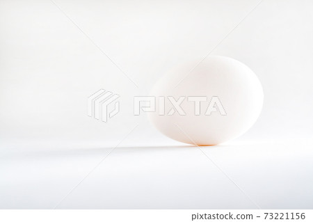 one white egg isolated white background 73221156