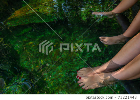 Women's feet in the water with fish. Women's feet in the water with fish. 73221448