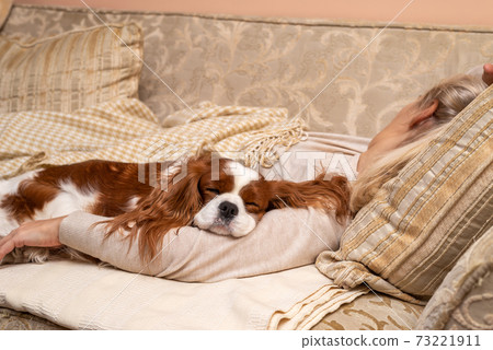 Dog and woman relaxing Dog and woman relaxing 73221911