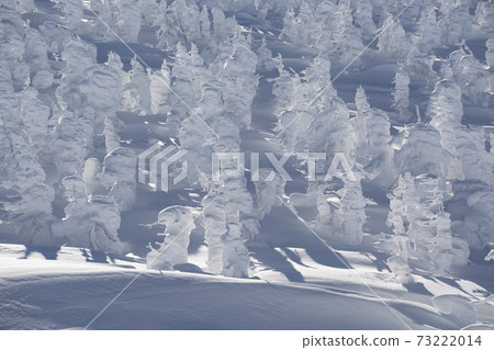 Snow scene of monsters in Zao, Yamagata Prefecture Snow scene of monsters in Zao, Yamagata Prefecture 73222014