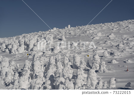 Snow scene of monsters in Zao, Yamagata Prefecture 73222015