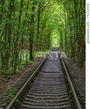 Tunnel of Love ( railway in forest near Klevan, Ukraine) Tunnel of Love ( railway in forest near Klevan, Ukraine) 73222058