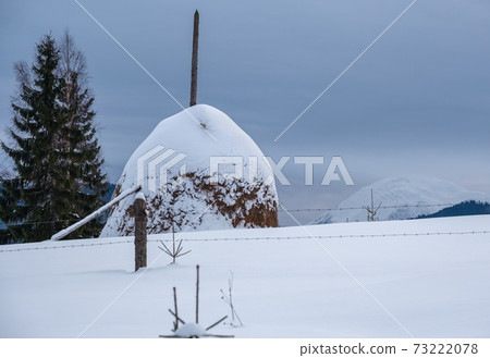 Snow covered haystack on small and quiet mountain village outskirts. Dusk winter overcast sunrise, Carpathian, Ukraine. Snow covered haystack on small and quiet mountain village outskirts. Dusk winter overcast sunrise, Carpathian, Ukraine. 73222078