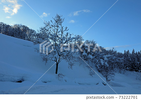 福島縣忠武町大雪地區的雪景，傍晚的藍天 73222701