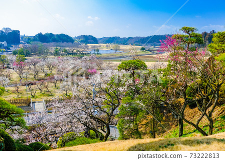 View of plum grove View of plum grove 73222813