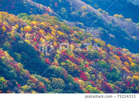 View from Nikko Half Moon Pass No. 2 Parking Lot Autumn leaves scenery Autumn scenery 73224313