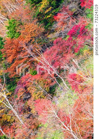 View from Nikko Half Moon Pass No. 2 Parking Lot Autumn leaves scenery Autumn scenery View from Nikko Half Moon Pass No. 2 Parking Lot Autumn leaves scenery Autumn scenery 73224319