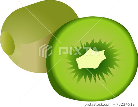 Green kiwi. Vector illustration isolated on white background. Green kiwi. Vector illustration isolated on white background. 73224512