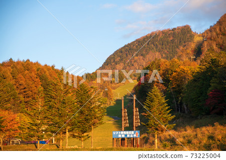 在夕陽下發光的丸沼高原，深秋的秋葉，高原的秋天風景 73225004