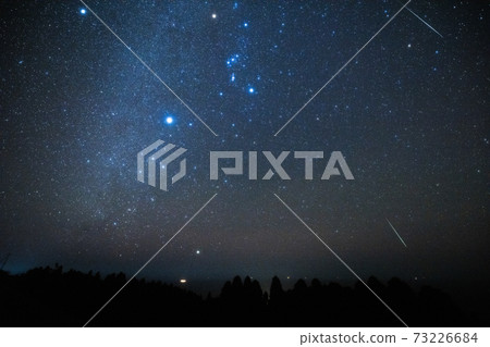 《Geminids Meteor Shower》 Geminids Meteor Shower, Winter Triangle and Canopus 73226684