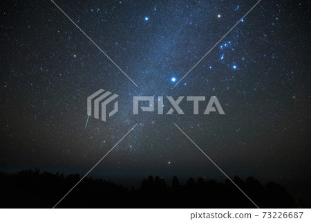 《Geminids Meteor Shower》 Geminids Meteor Shower, Winter Triangle and Canopus 73226687