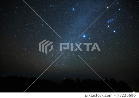 《Geminids Meteor Shower》 Geminids Meteor Shower, Winter Triangle and Canopus 73226690