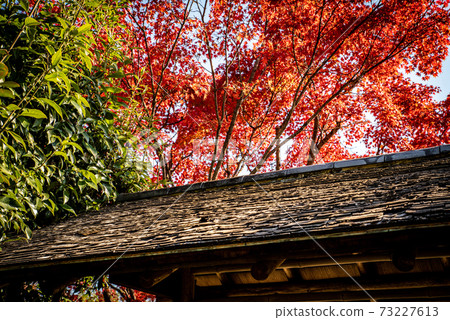 Kouno Park in Saga City, Saga Prefecture 73227613