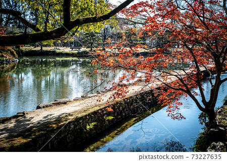 佐賀縣佐賀市的上野公園 73227635