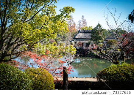 Kouno Park in Saga City, Saga Prefecture 73227636