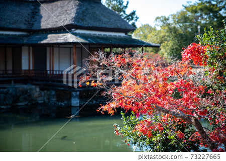 Kouno Park in Saga City, Saga Prefecture 73227665