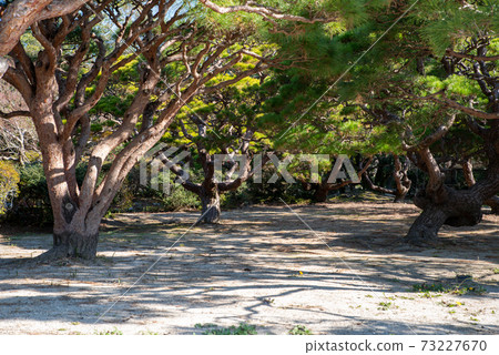 Kouno Park in Saga City, Saga Prefecture 73227670