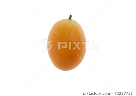 Marian Plum, Plum Mango (Bouea macrophylla Griffith). Marian Plum, Plum Mango (Bouea macrophylla Griffith). 73227731