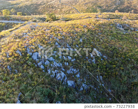 秋吉台的石灰石和薄野草原的鳥瞰圖 秋吉台的石灰石和薄野草原的鳥瞰圖 73227938