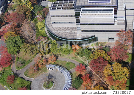 View the autumn park from above View the autumn park from above 73228057
