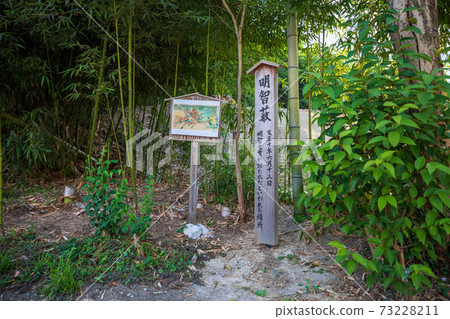 Akechi Akechi 73228211