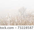 Haze meadow 73228587