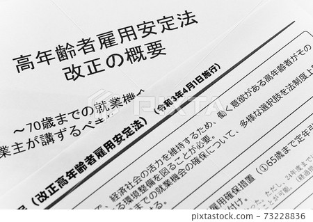 Amendment of the Elderly Persons Employment Stabilization Law 73228836