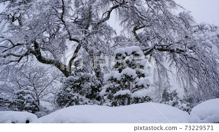 Sakamoto Snow Medicine Clinic In Winter Taisei Stock Photo