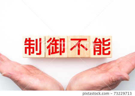 圖片失控 73229713