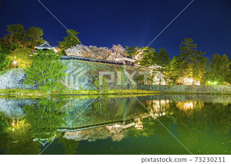 From the night cherry blossom moat of Matsue Castle, Shimane Prefecture South turret, middle turret and castle tower 73230231