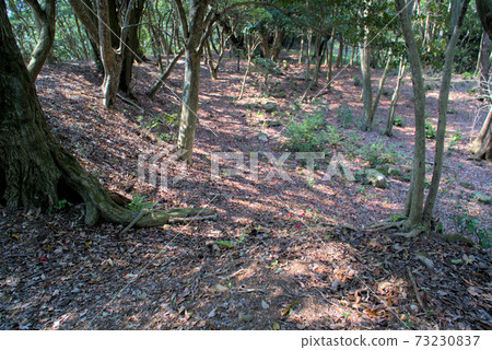 岡山縣大田縣八千川町Sarukake城堡的土基和主要圍牆 岡山縣大田縣八千川町Sarukake城堡的土基和主要圍牆 73230837