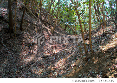 岡山縣倉敷市馬比町Sarukake Castle Honmaru南部的大or 岡山縣倉敷市馬比町Sarukake Castle Honmaru南部的大or 73230839