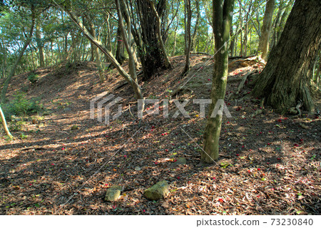 Earthworks of Sarukake Castle Honmaru, Yakage Town, Oda District, Okayama Prefecture 73230840