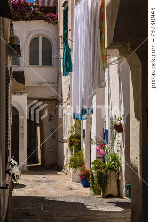 Cityscape of Procida, Italy 73230943