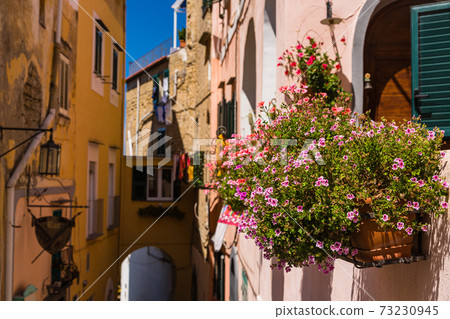 Cityscape of Procida, Italy Cityscape of Procida, Italy 73230945