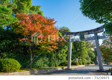 Torii and autumn leaves at Jonangu Shrine in Kyoto Torii and autumn leaves at Jonangu Shrine in Kyoto 73230973