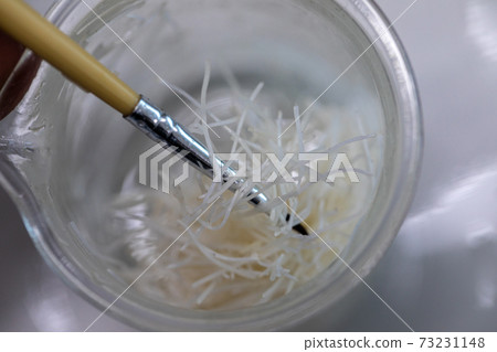 Cell Division and Cell Cycle under the microscope. Cell Division and Cell Cycle under the microscope. 73231148