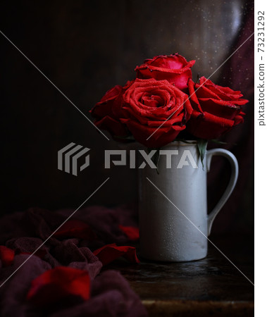 rose, red, blossom 73231292