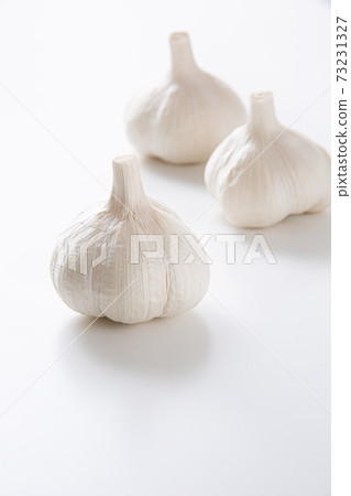 在白色背景上的3大蒜 73231327