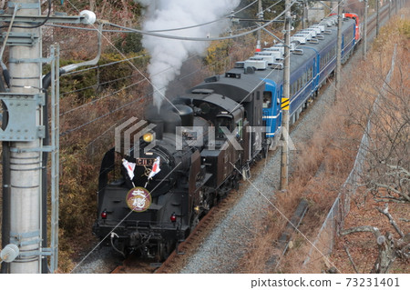 SL Taiki, pulled by C11-325 locomotive, proudly displays its special end-of-year decorations. Photographed on 2020/12/26 SL Taiki, pulled by C11-325 locomotive, proudly displays its special end-of-year decorations. Photographed on 2020/12/26 73231401
