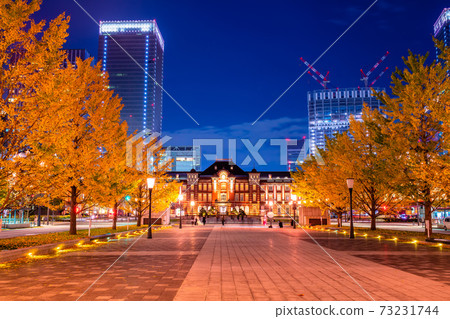 東京站和銀杏樹的夜景 73231744