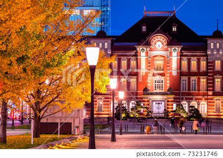 Night view of Tokyo Station and Ginkgo trees 73231746