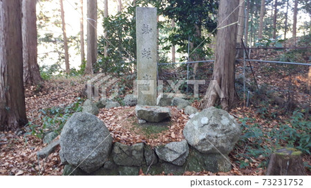 Spider cave Spider cave 73231752